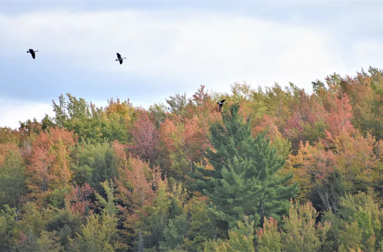 Warm fall predicted after region posts third-hottest July